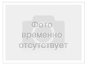 Птицы